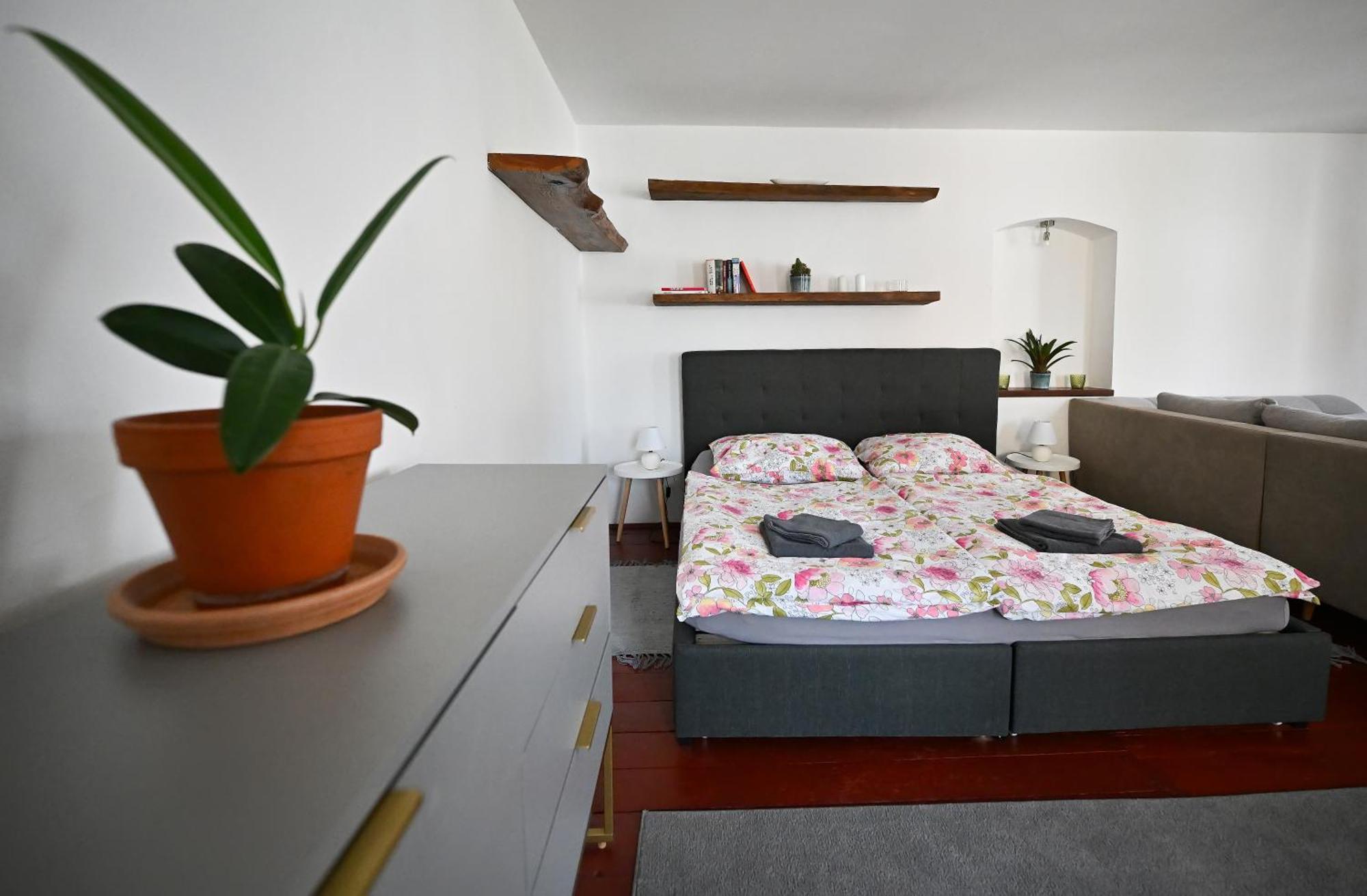 Apartman U Spinaru Třešť Exterior foto